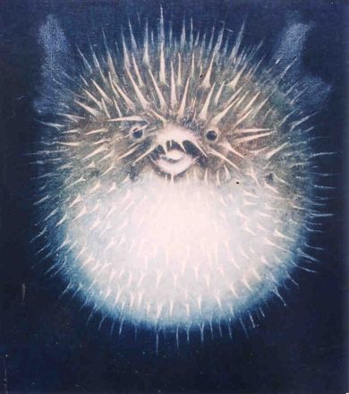 Zeegel